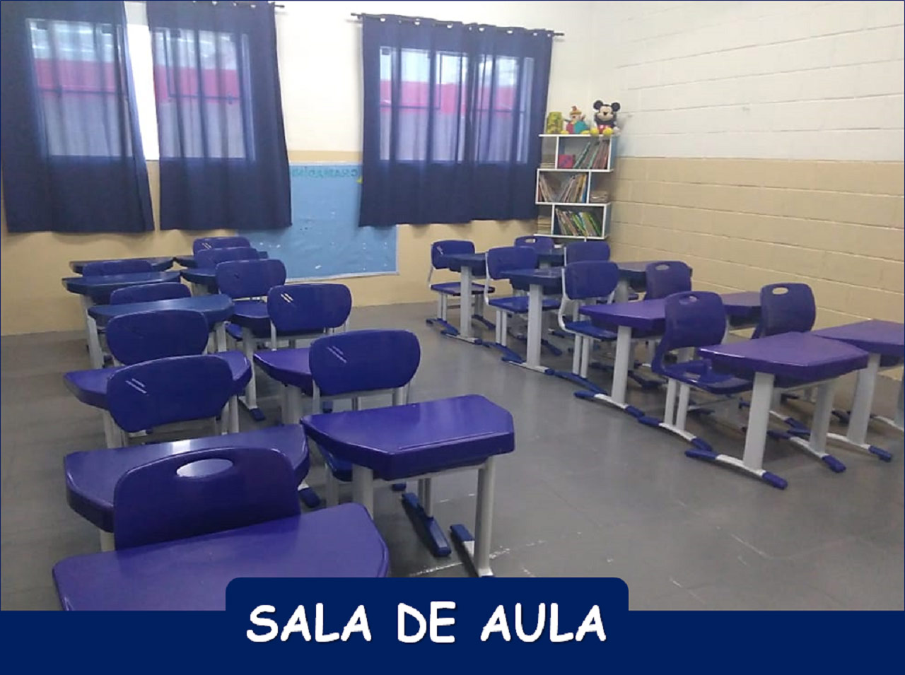 Arara Canindé